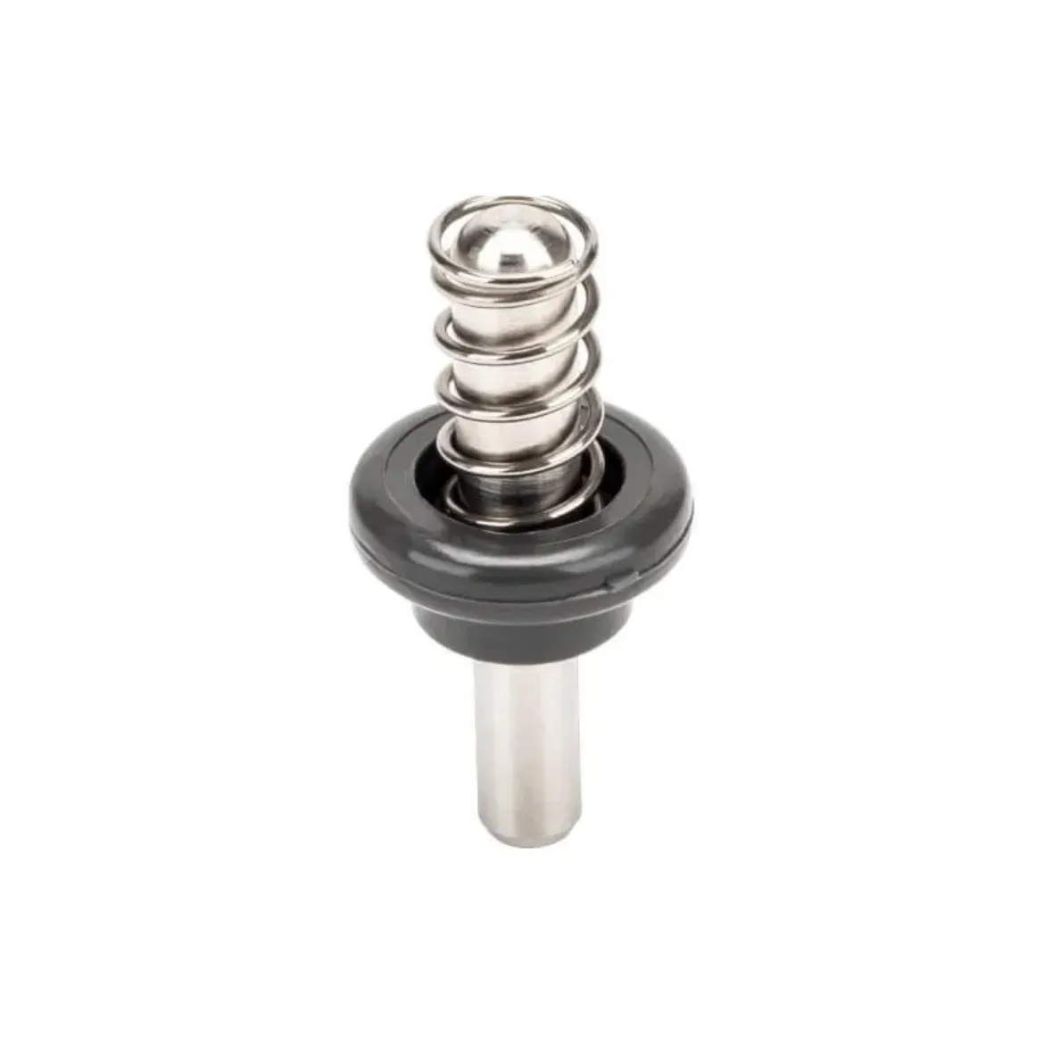 Picture of Plunger & Spring for A4374